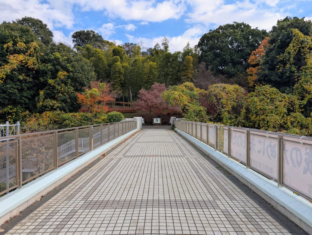 歴博通りの連絡橋
大塚・歳勝土遺跡公園
