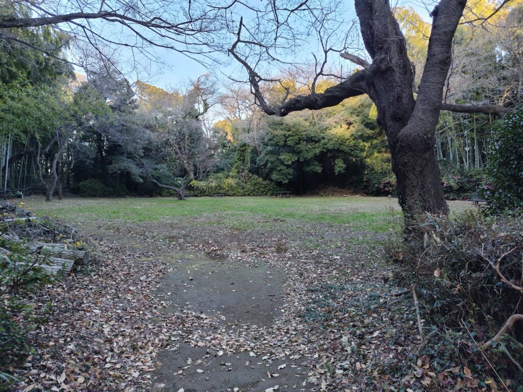 小机城址市民の森
二の丸広場
