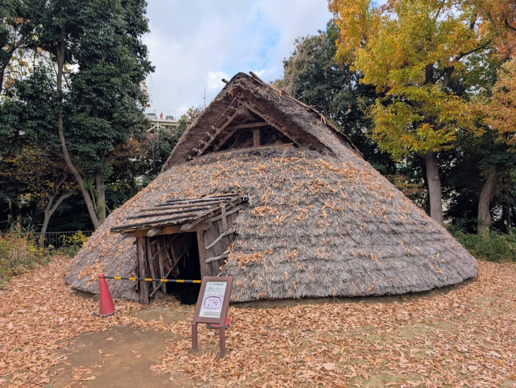 大塚遺跡のY-80号住居