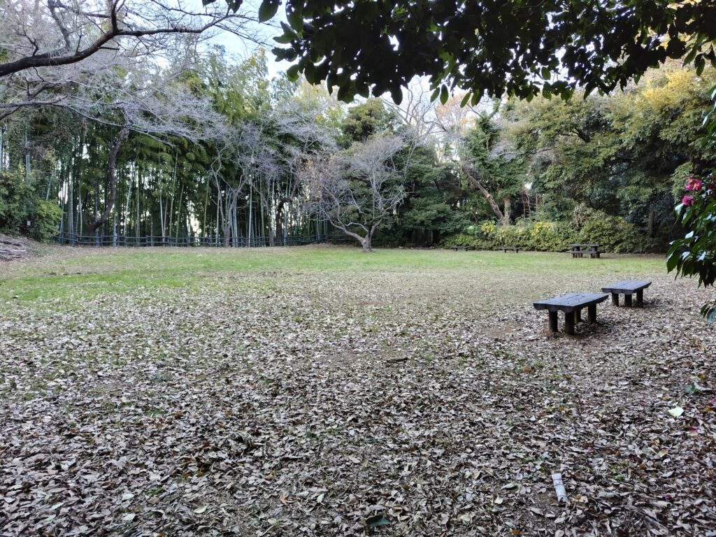小机城址市民の森
二の丸広場