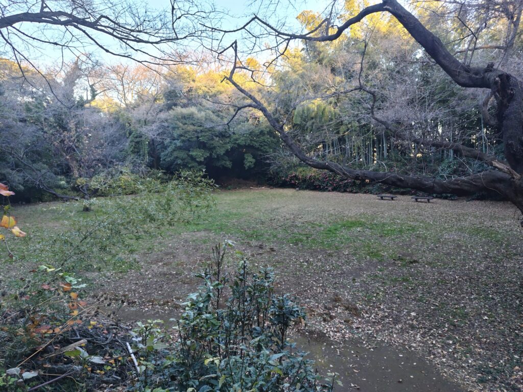 小机城址市民の森
櫓台から二の丸広場の眺望