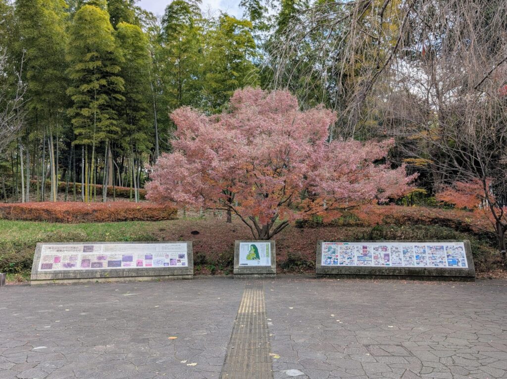 大塚・歳勝土遺跡公園の入口