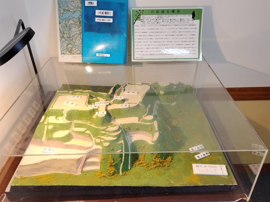 小机地区センター
小机城址模型