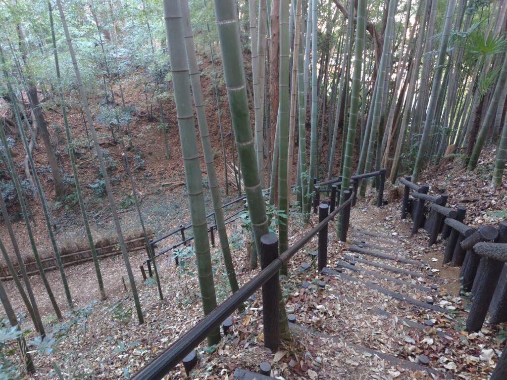 小机城址市民の森
階段