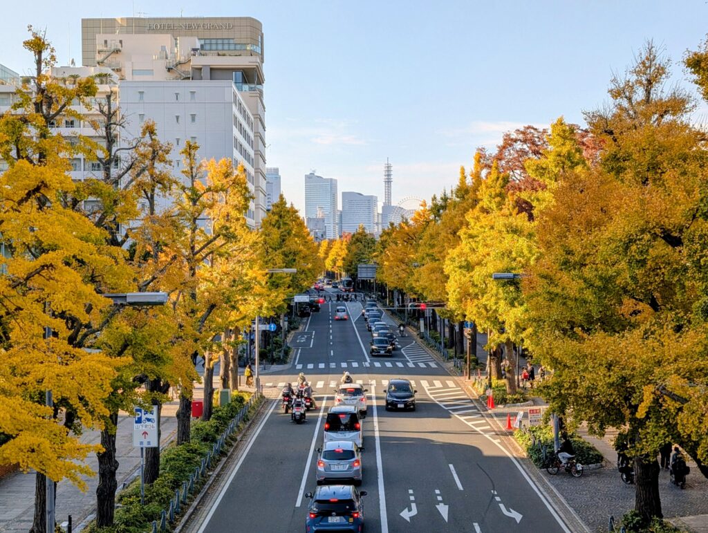 ポーリン橋から見る銀杏並木