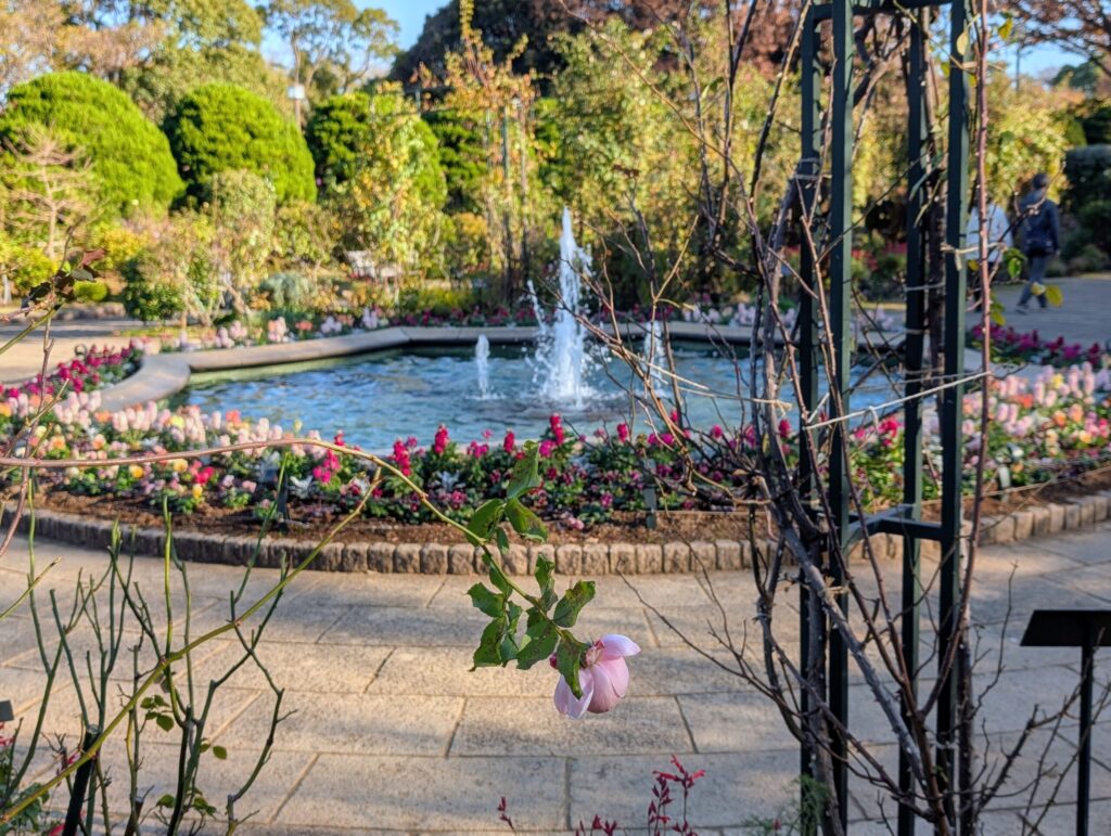 港の見える丘公園
沈床花壇「香りの庭」