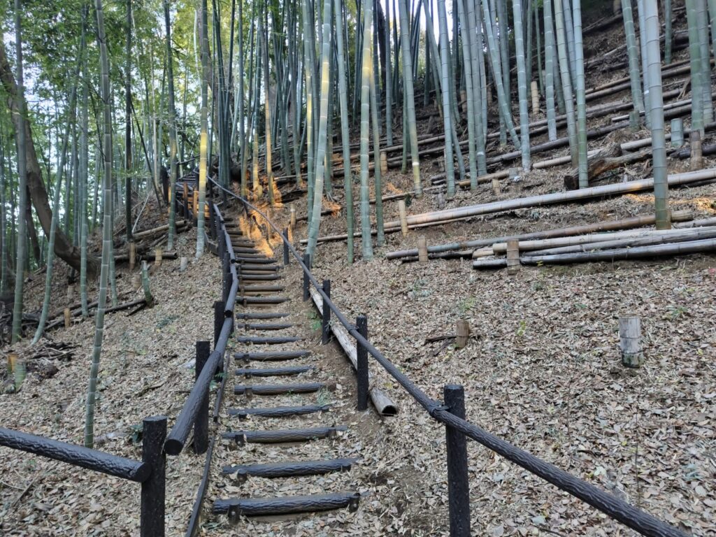 小机城址市民の森
階段