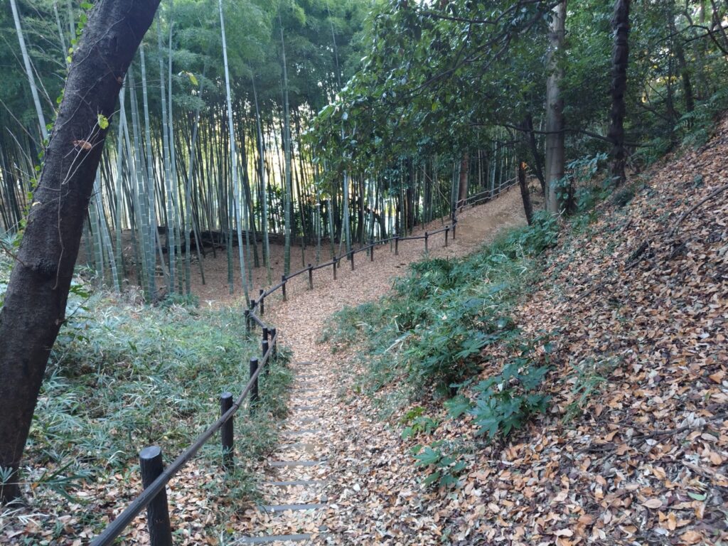 小机城址市民の森
遊歩道