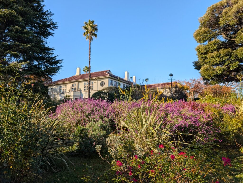 港の見える丘公園のバラとカスケードの庭