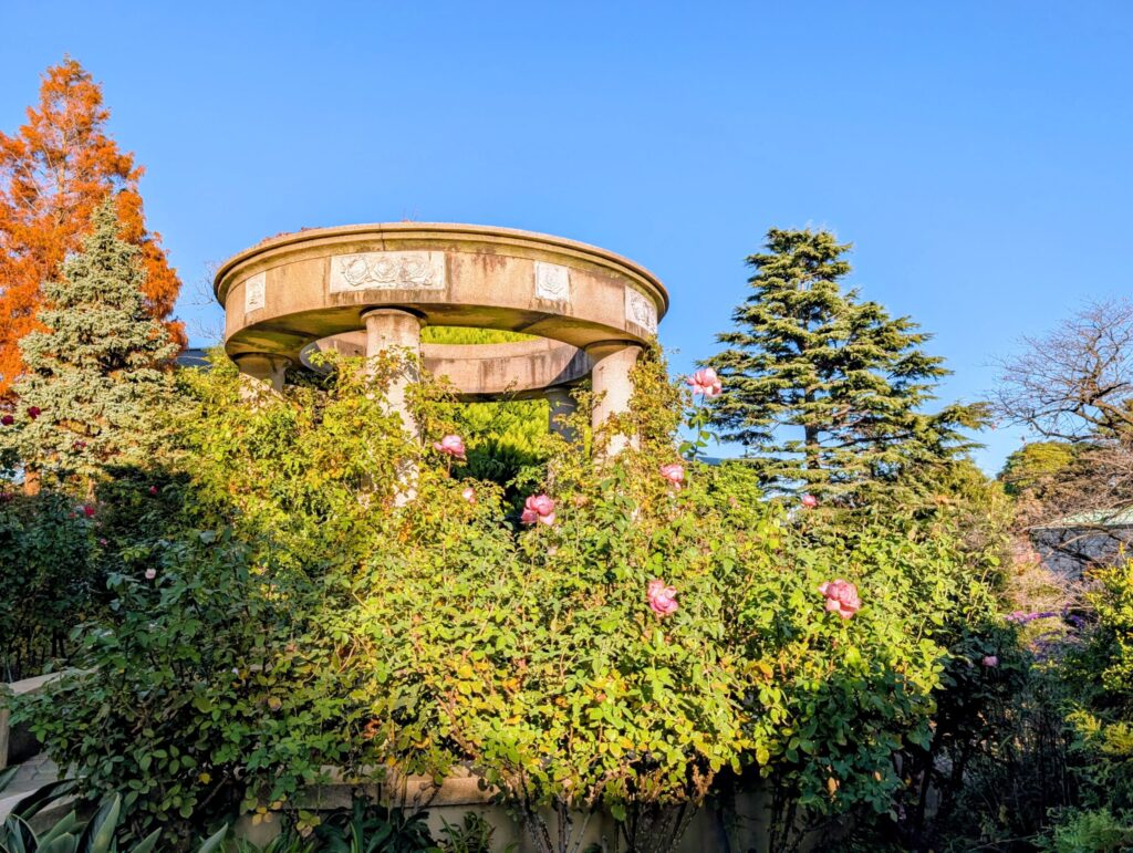 港の見える丘公園のバラとカスケードの庭