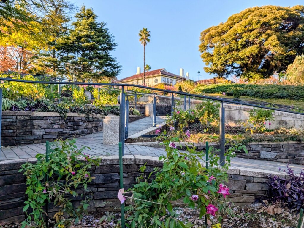 港の見える丘公園のバラとカスケードの庭