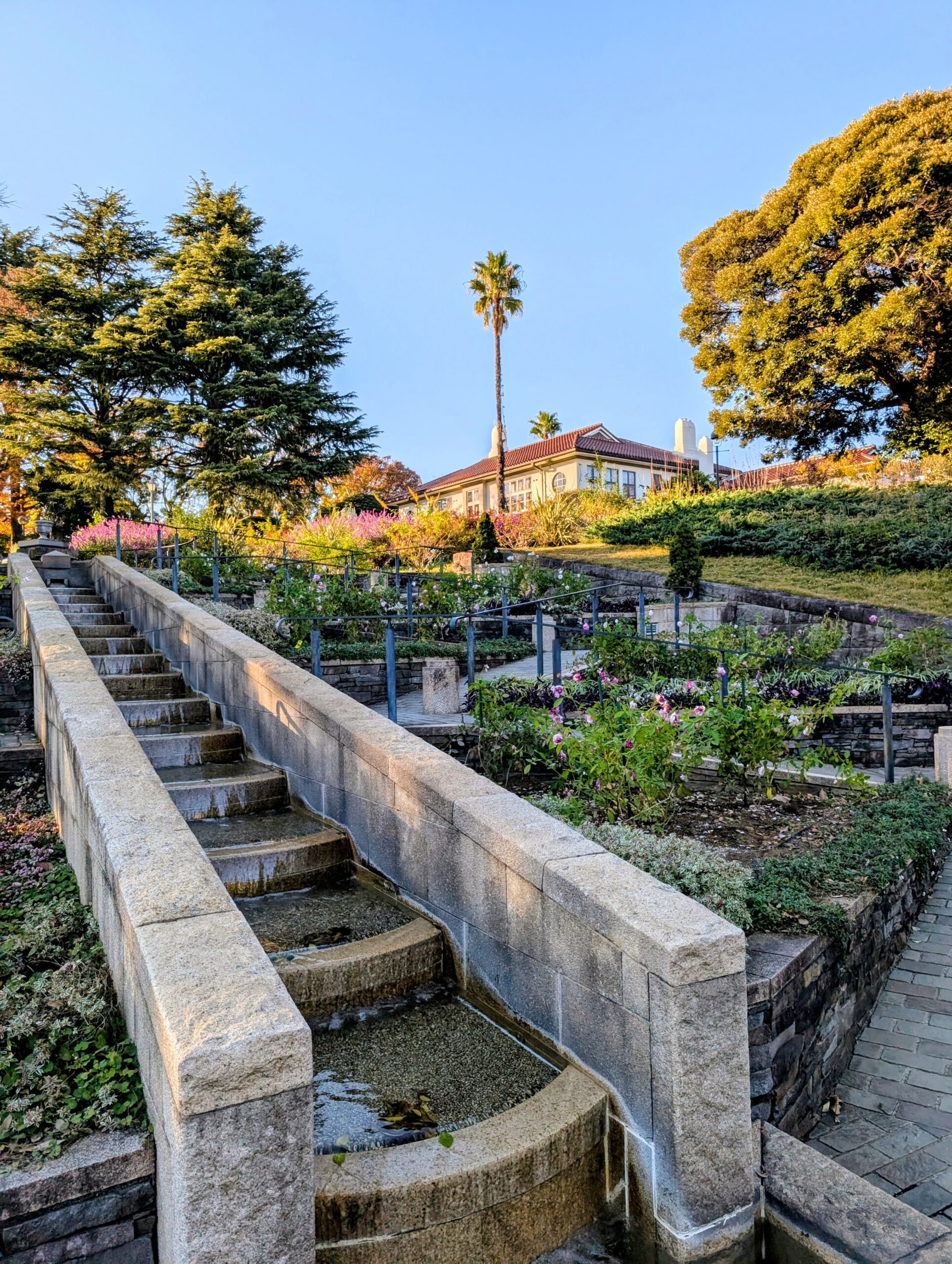 港の見える丘公園のバラとカスケードの庭