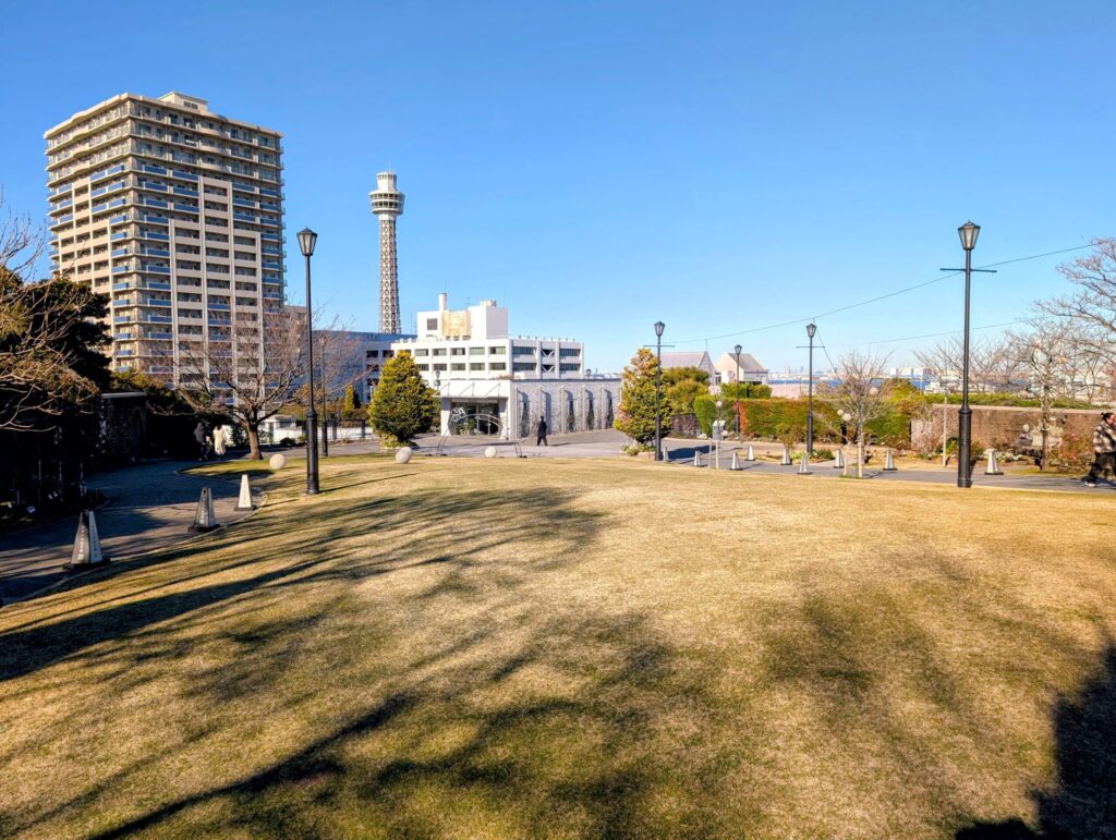 アメリカ山公園の芝生