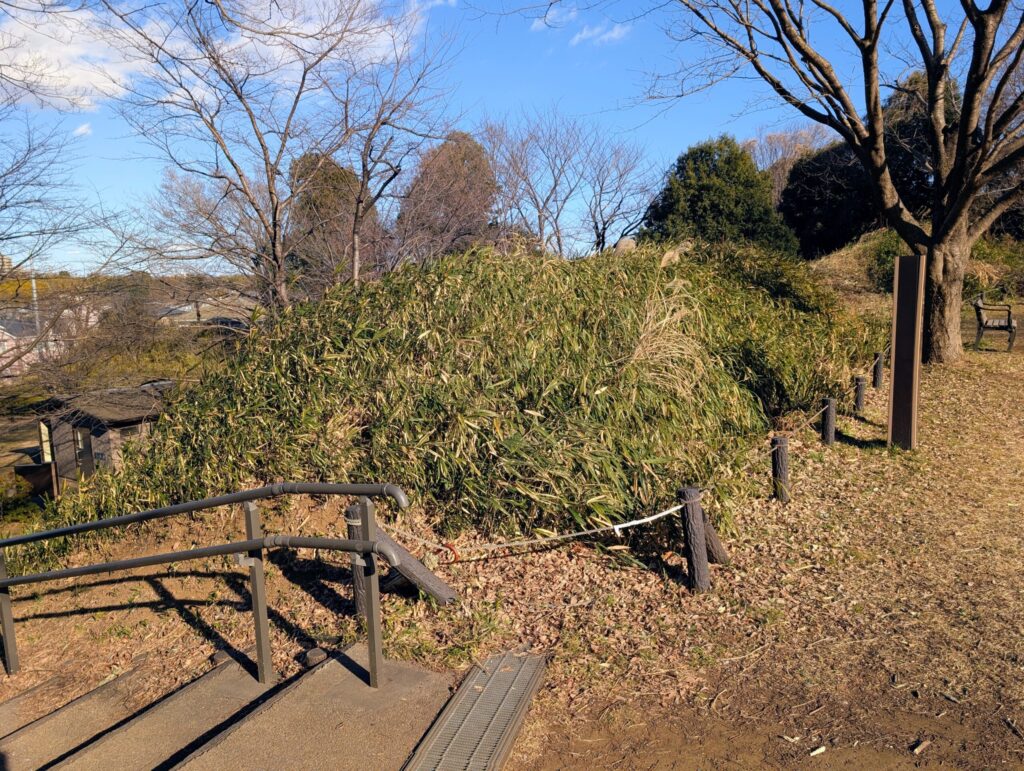 茅ヶ崎城址公園 土塁