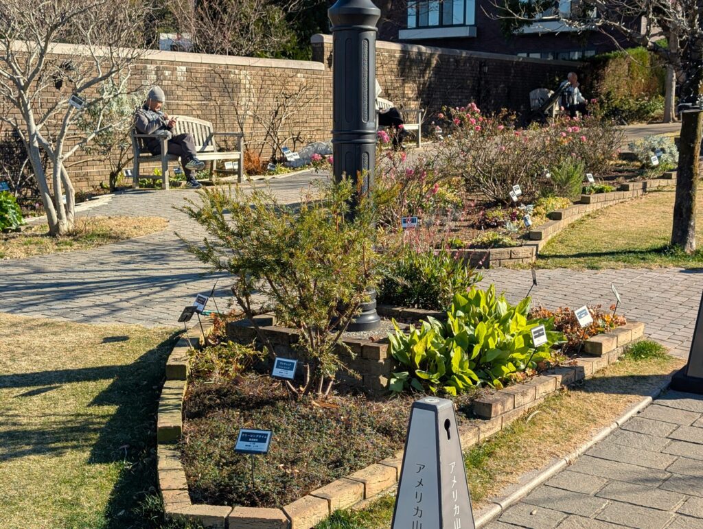 アメリカ山公園の元町貝塚付近