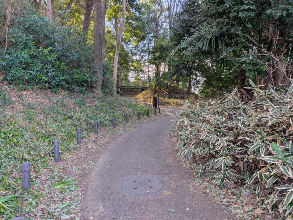 茅ヶ崎城址公園 北郭から西郭方面へ続く遊歩道(空堀)