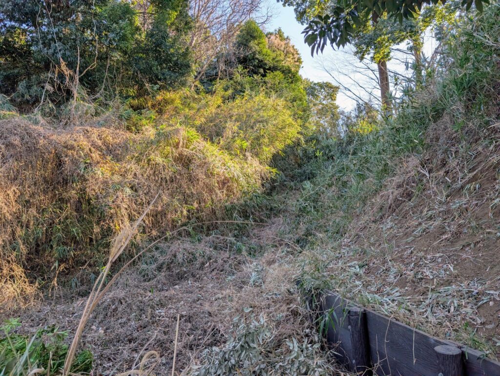 茅ヶ崎城址公園 中郭土橋