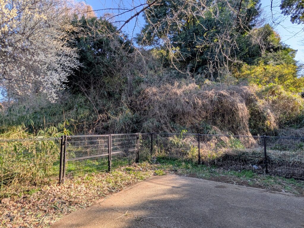 茅ヶ崎城址公園 東郭の土塁
