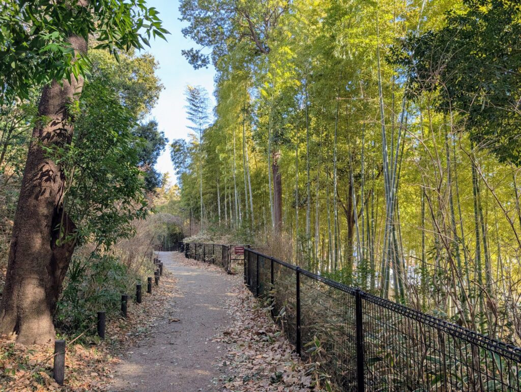 茅ヶ崎城址公園