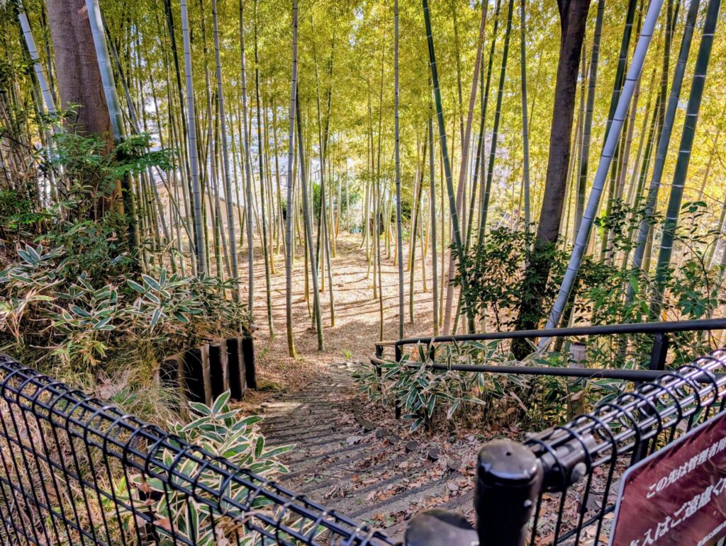 茅ヶ崎城址公園