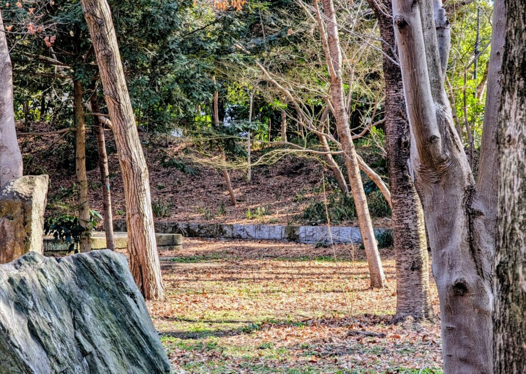 九品仏浄真寺の境内を囲む土塁跡
