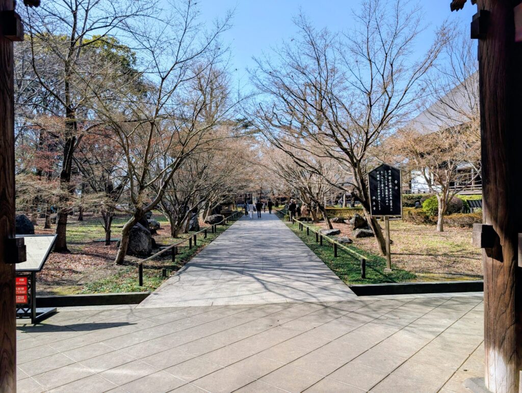 九品仏浄真寺の山門を入ったところ