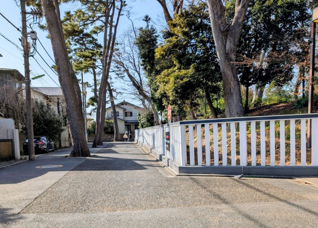 九品仏浄真寺　奥沢城跡の南側　クロマツの並木道