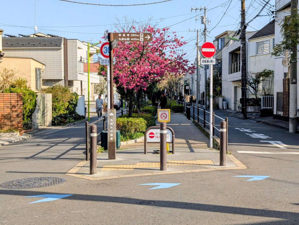九品仏川緑道