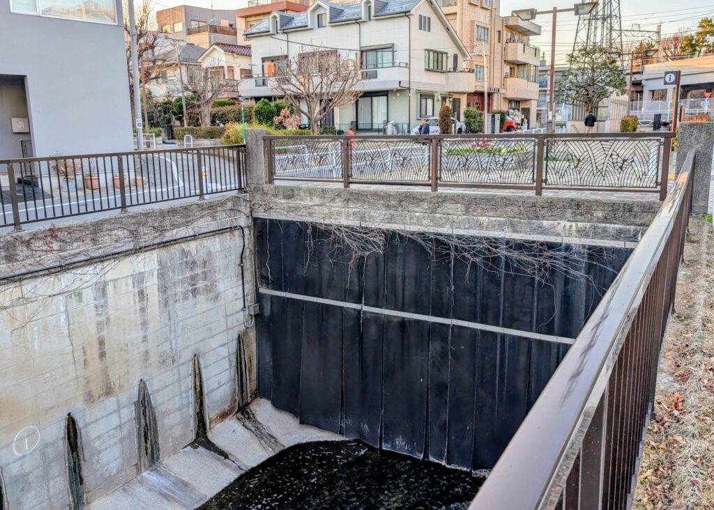 呑川と九品仏川の合流点