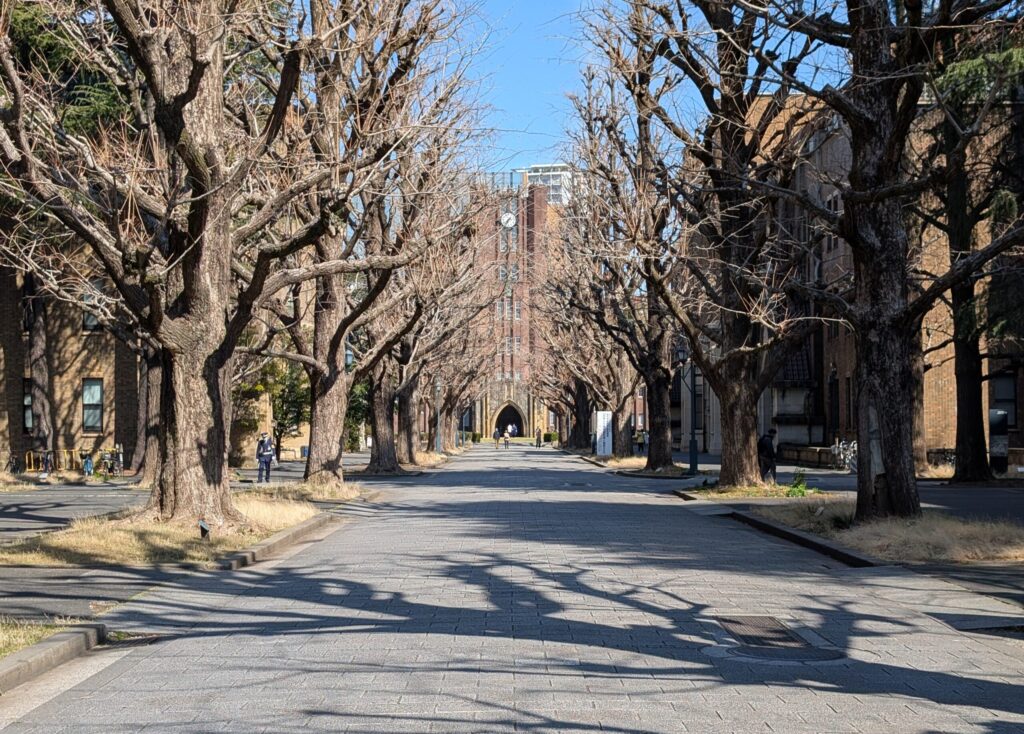 東京大学本郷キャンパス銀杏並木通り