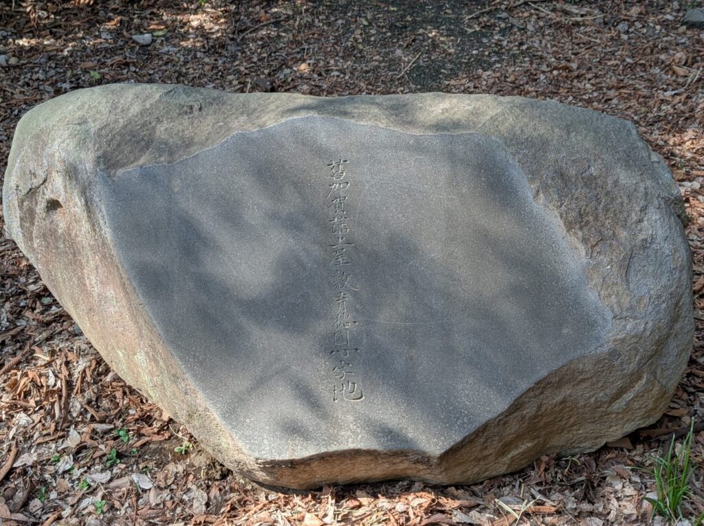 東京大学本郷キャンパス
三四郎池