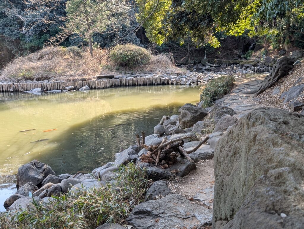 東京大学本郷キャンパス
三四郎池