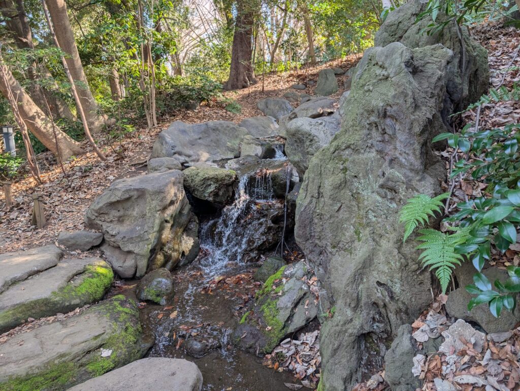 東京大学本郷キャンパス
三四郎池