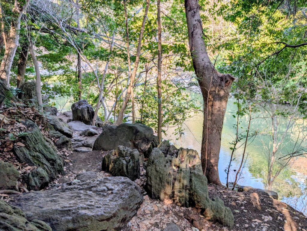 東京大学本郷キャンパス
三四郎池