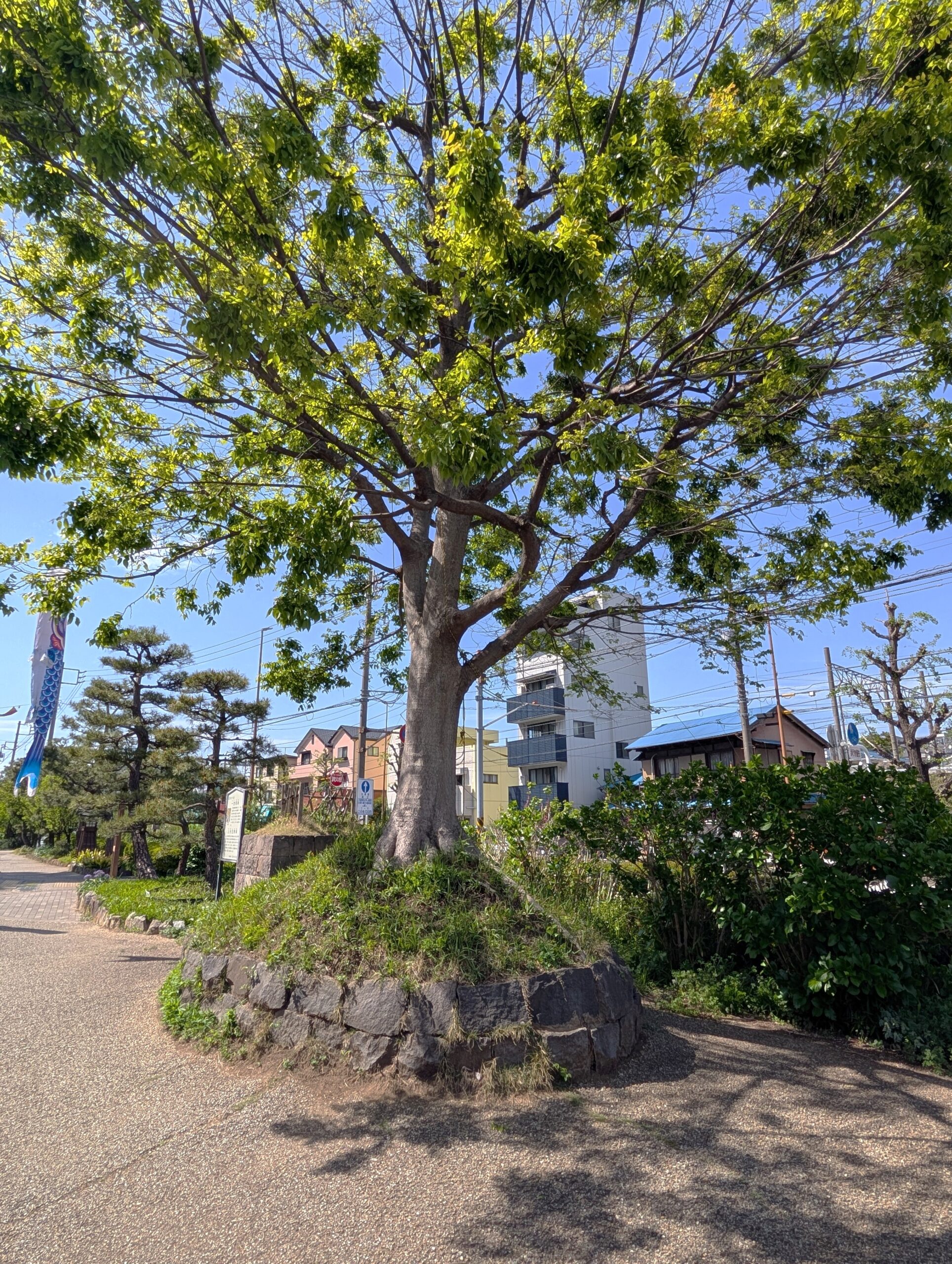 保土ヶ谷宿の一里塚(復元)
