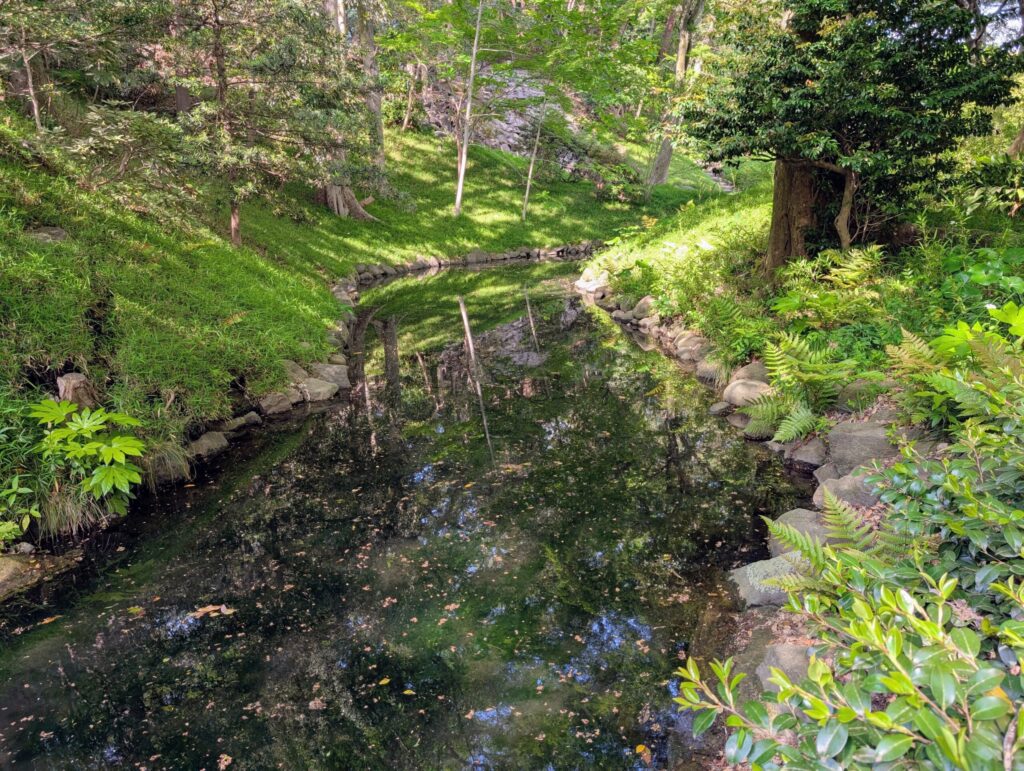 小石川後楽園の神田上水跡