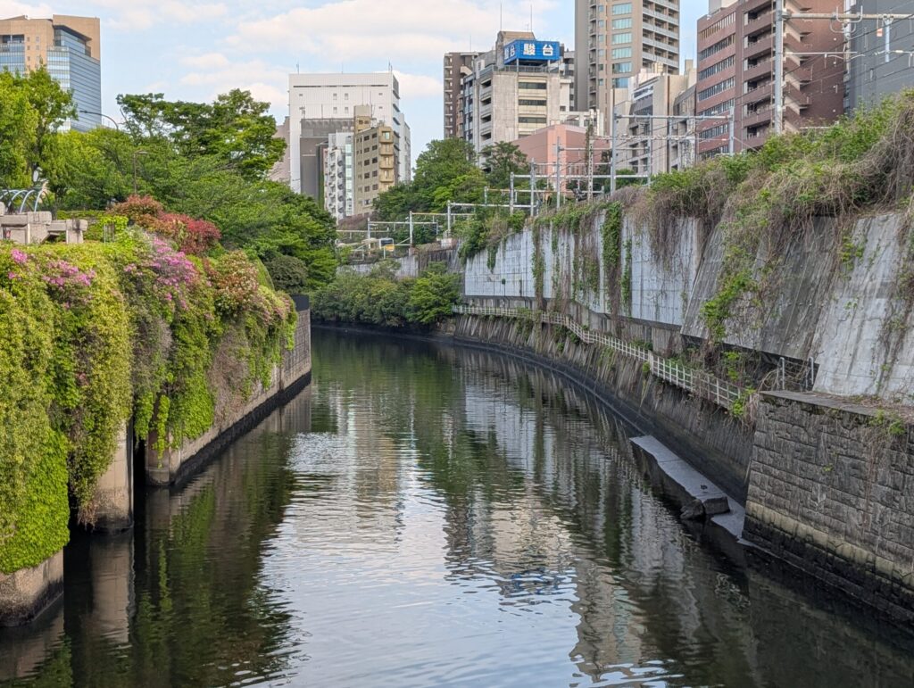 水道橋から神田川の眺望（下流側）