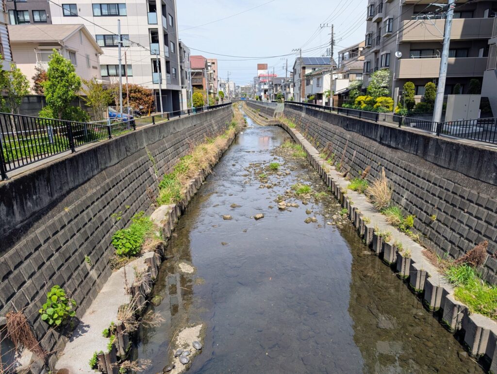 今井川