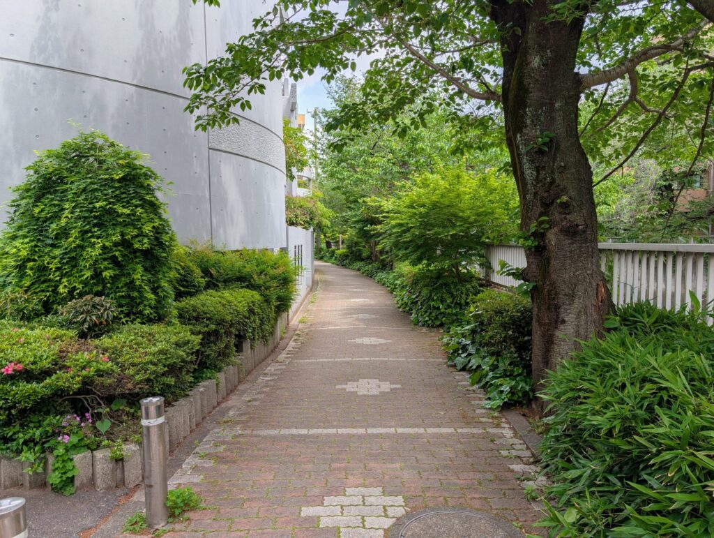 神田川沿いの緑道