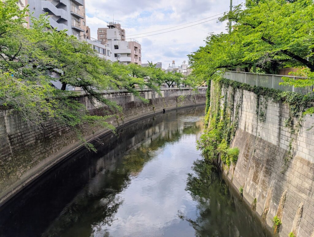 大滝橋から神田川の上流側の眺め