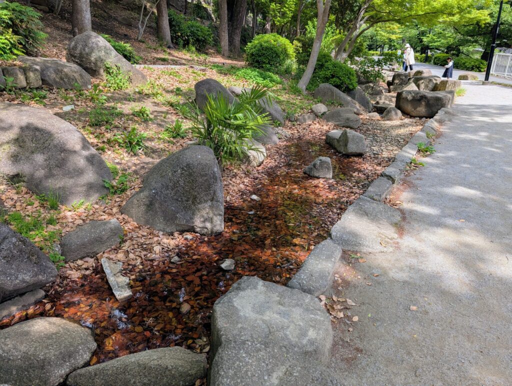 江戸川公園の池