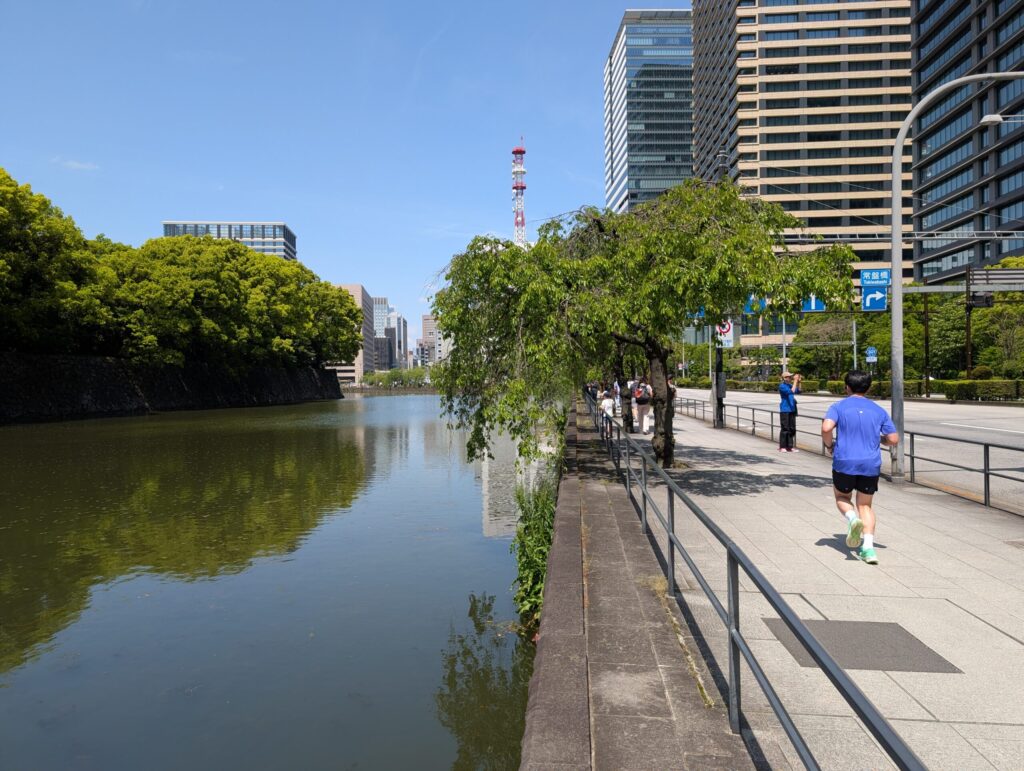 内堀通りに沿って半時計回りに走る皇居ランナーの姿