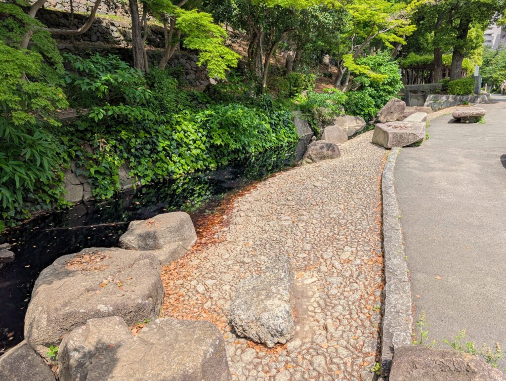 江戸川公園の池