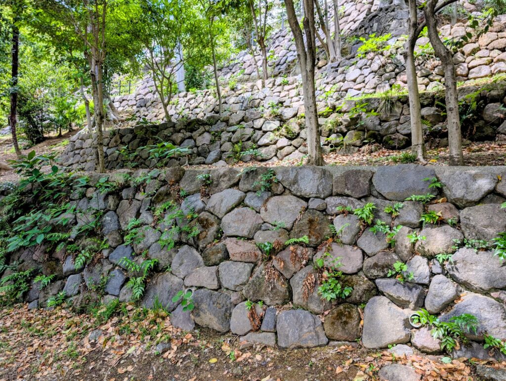 江戸川公園の石垣