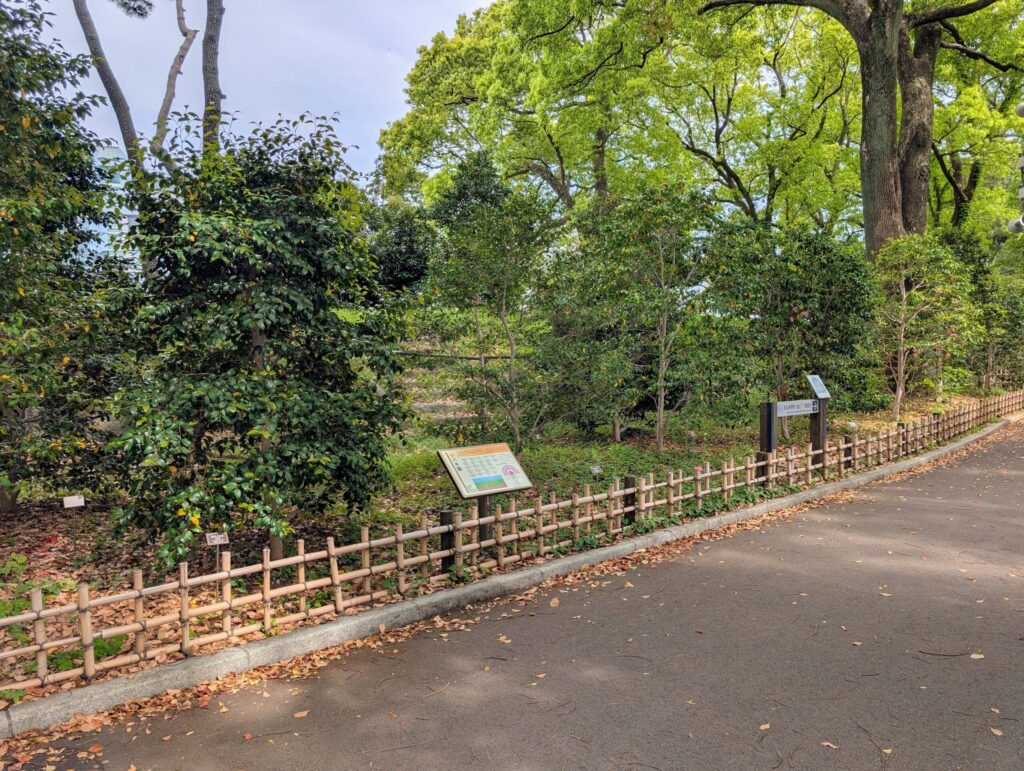 ツバキ園