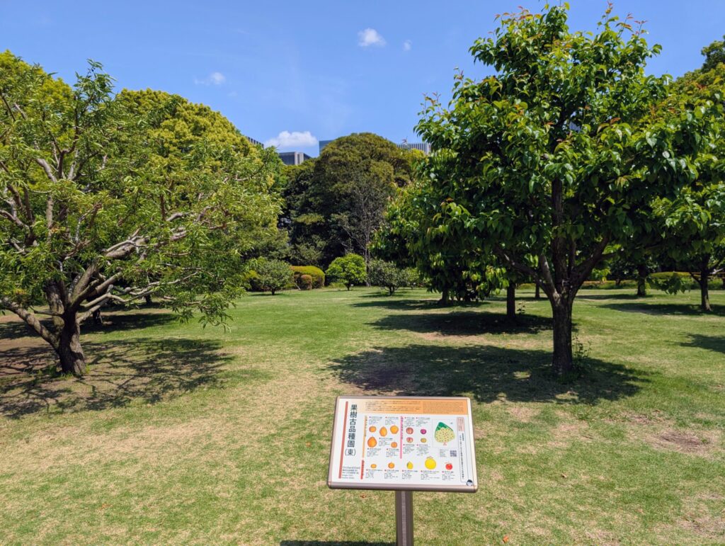 果樹古品種園