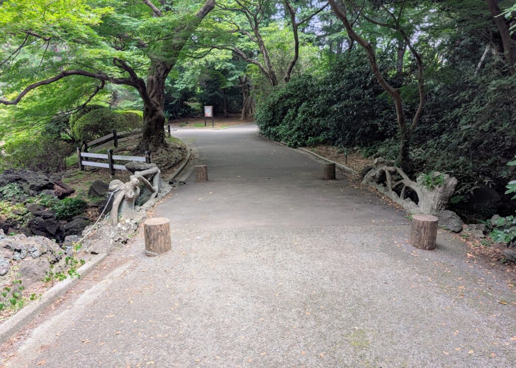 新宿御苑の下の池の南東端
川の始点にある擬木橋