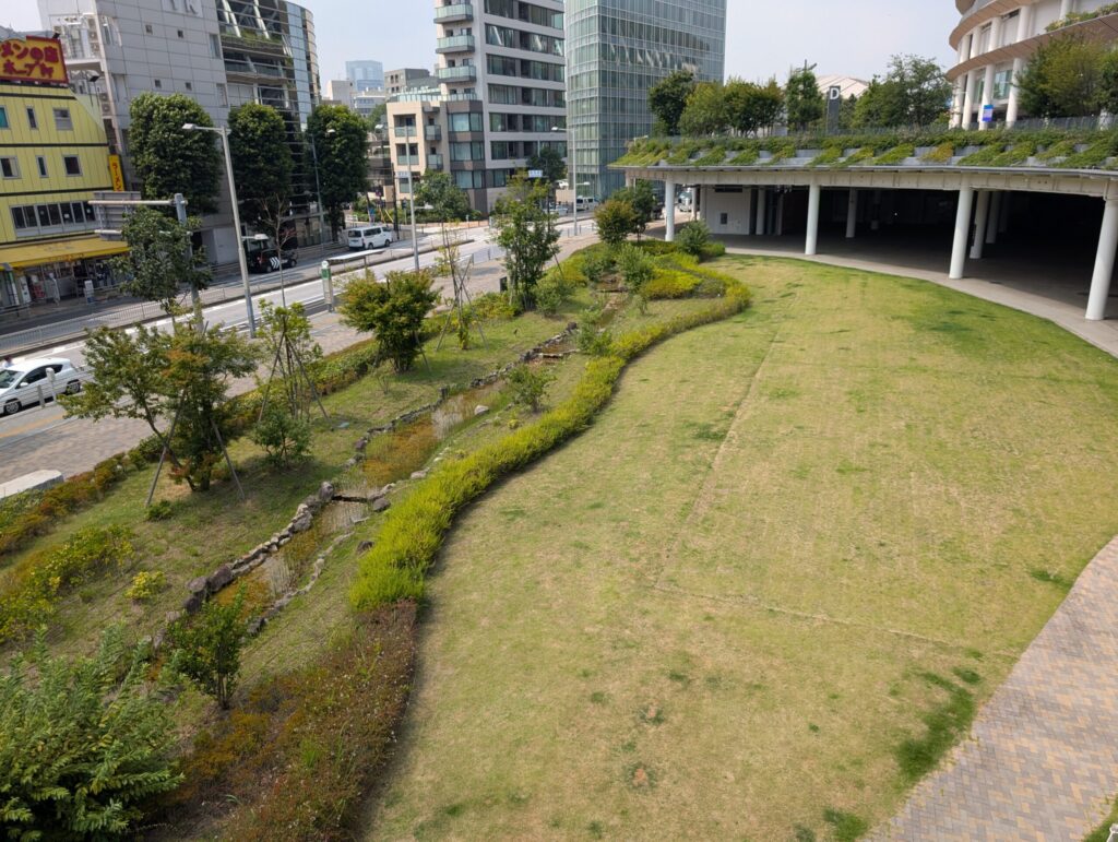 国立競技場の人工池