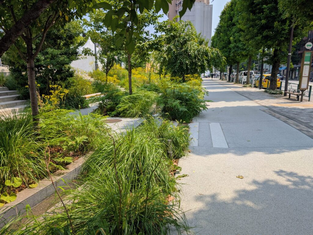 都立明治公園脇の遊歩道